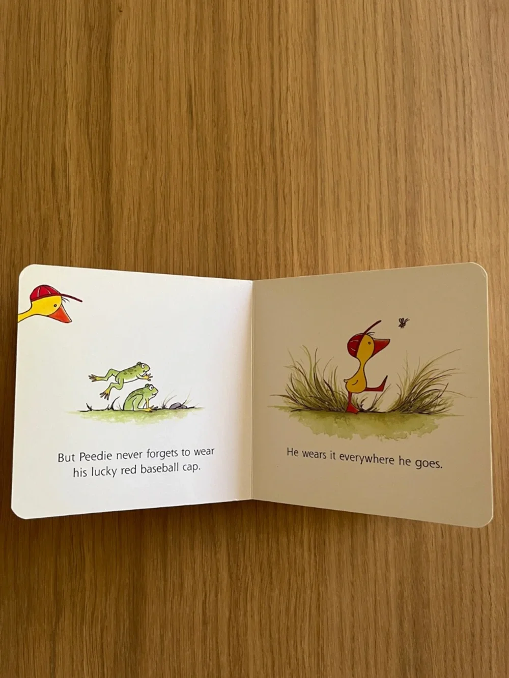 Bundle of little kid’s books, set of 2